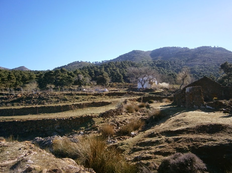 Fuenfría- in der Sierra de las Nieves