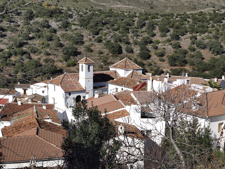 Parauta -Sierra de las Nieves