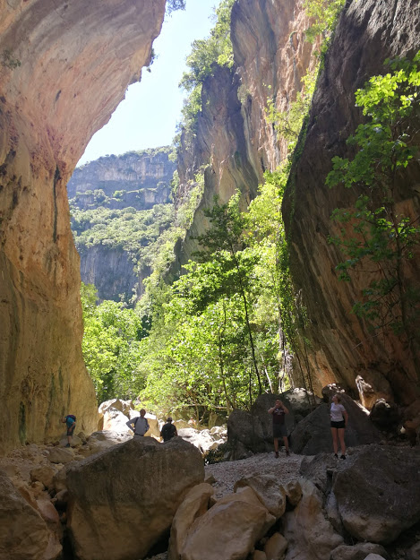 garganta verde 