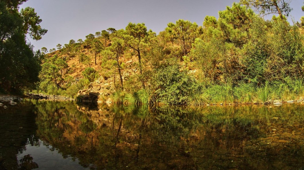 guadalmina toma agua 02