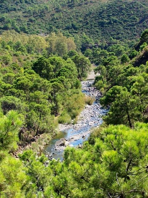 guadalmina toma agua