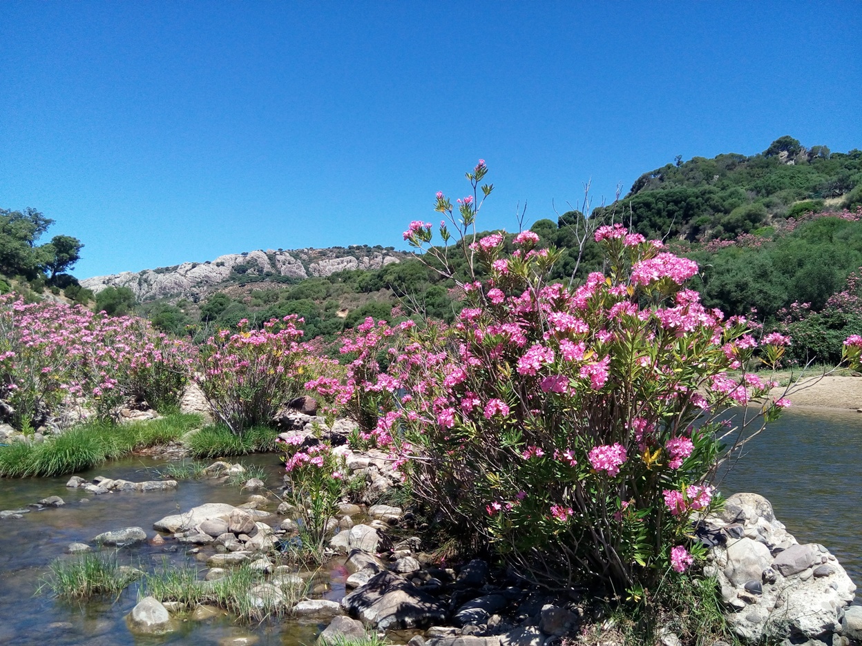 Jimena de la Frontera Los Alcornocales