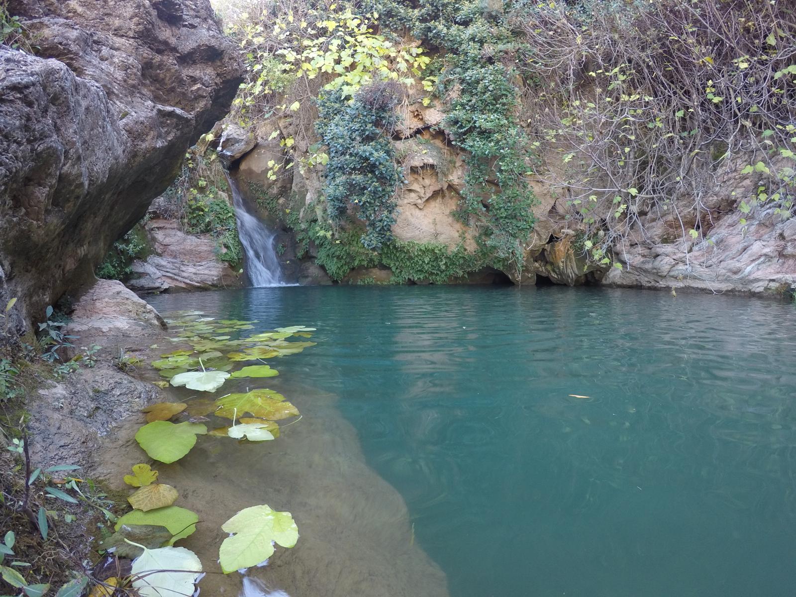Fuente del Malillo - Sierra de las Nieves