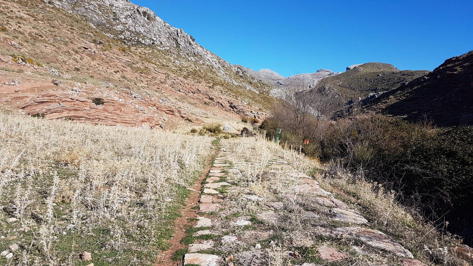 Fuente del Malillo - Sierra de las Nieves