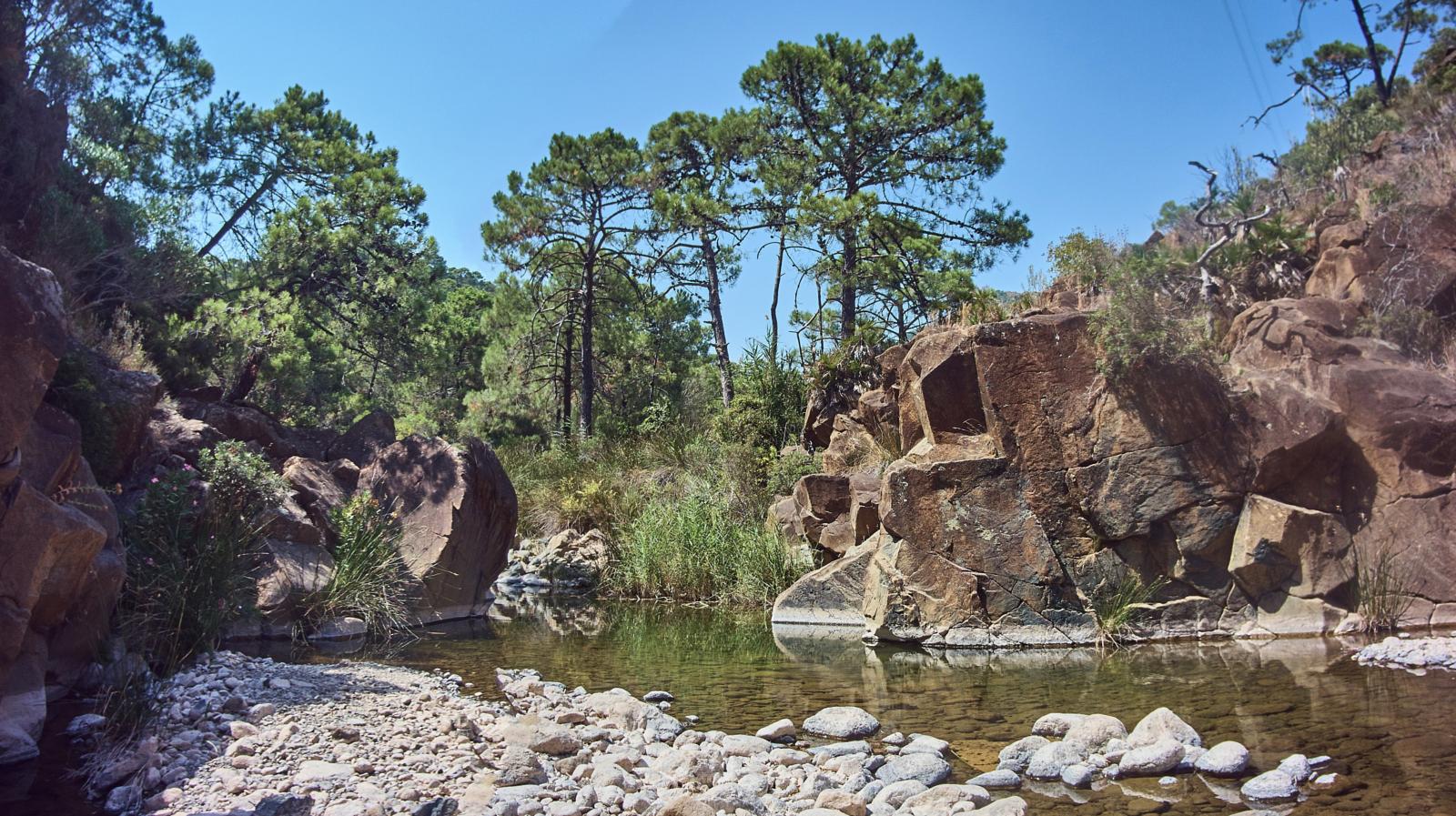 Río Padron