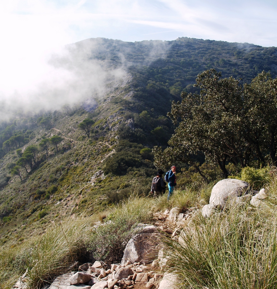 pico mijas 03