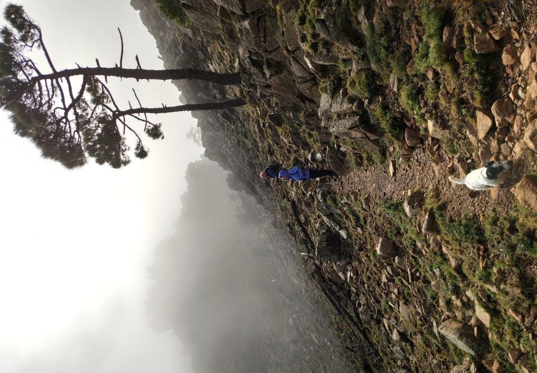 pico reales 02