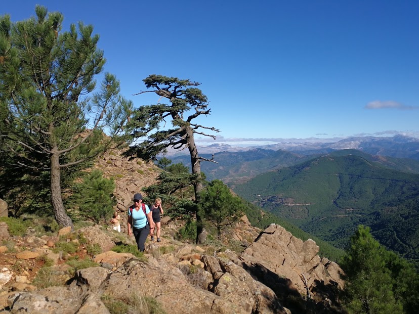 sierra bermeja senderismo