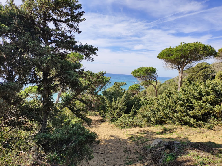 hiking from Tarifa to Bolonia