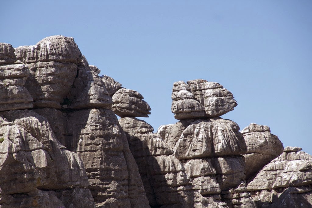 torcal ammonites 05