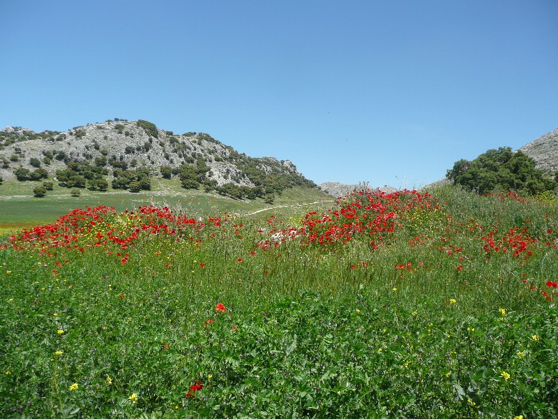 llanos de Líbar