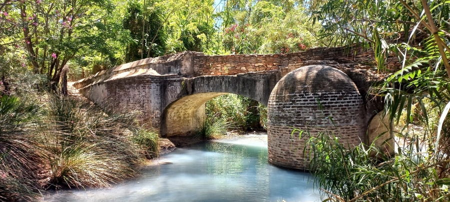 casares_banos__01