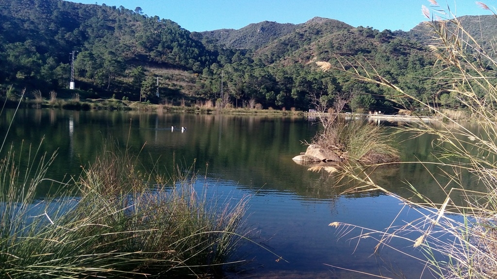 guadamina_toma_agua_01