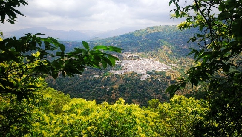 jubrique_matagallar_01